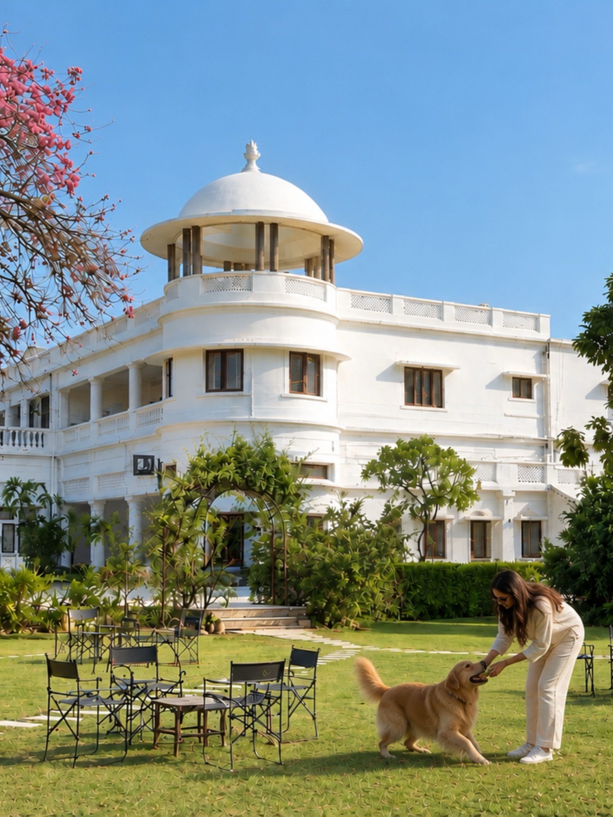 A dog playing on the Main Lawn at Fort Unchagaon